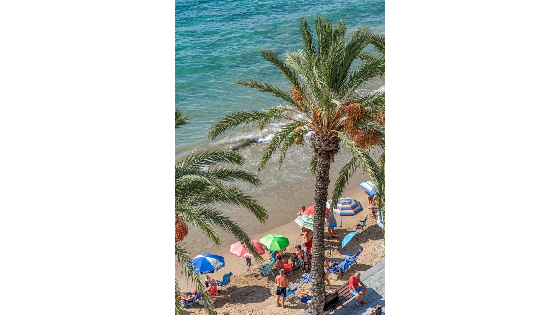 Bruktbolig - Leilighet -
Torrevieja