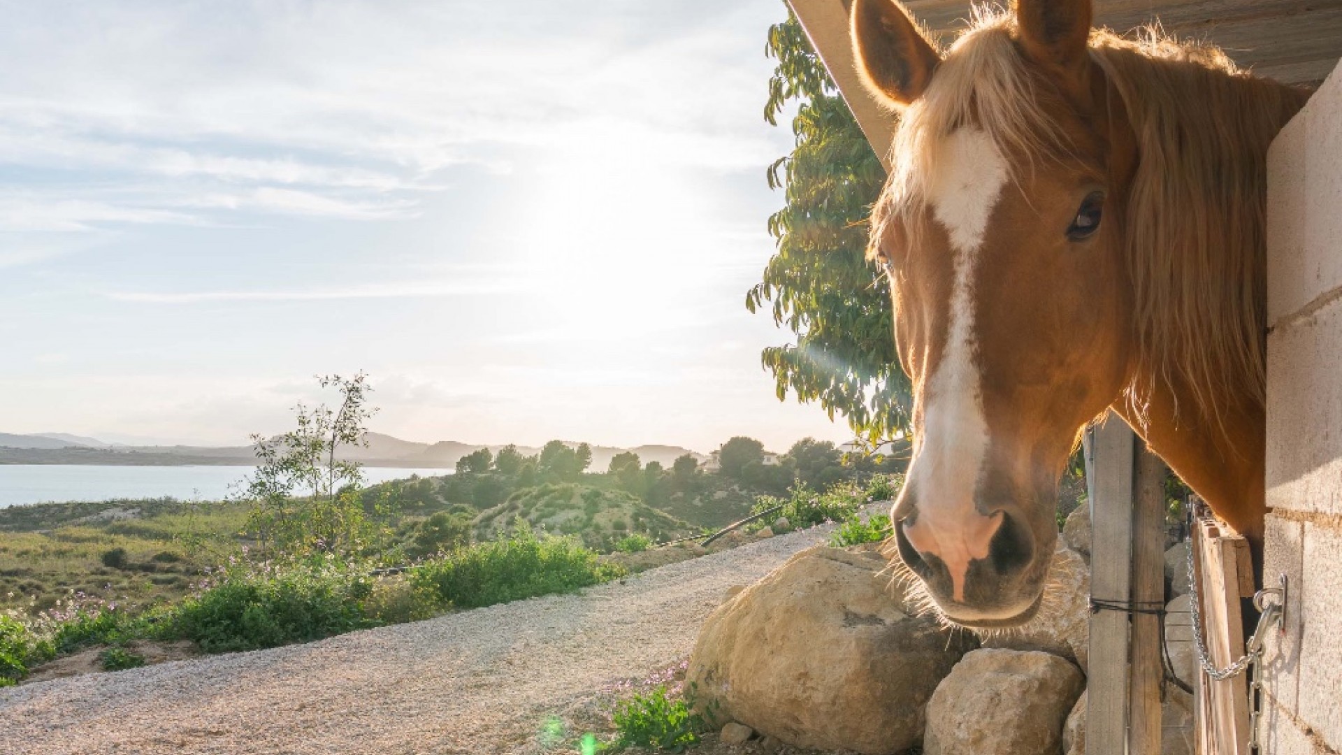 Bruktbolig - Villa -
Costa Blanca - Orihuela Costa
