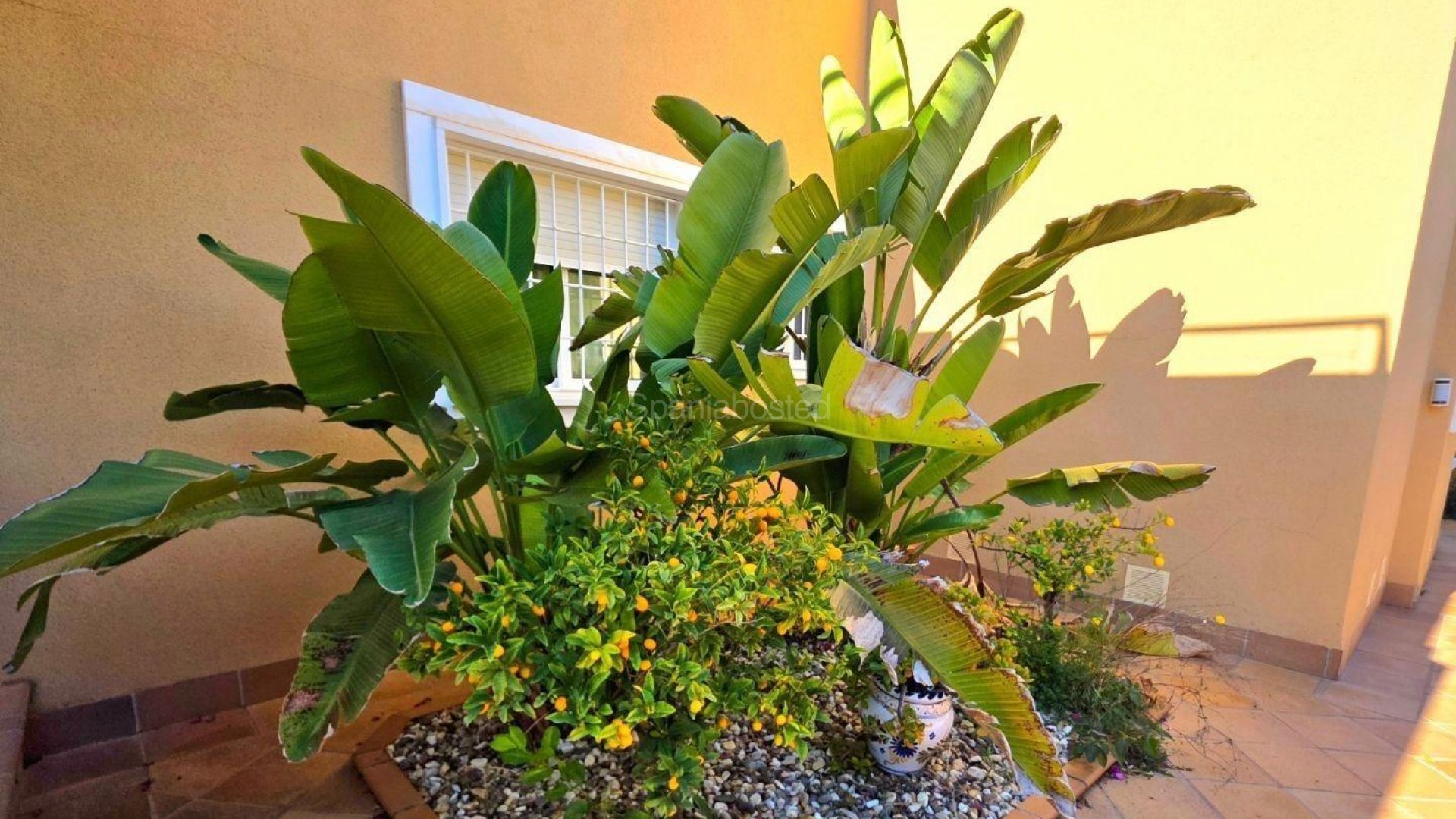 Bruktbolig - Villa -
Dehesa de campoamor - Campoamor