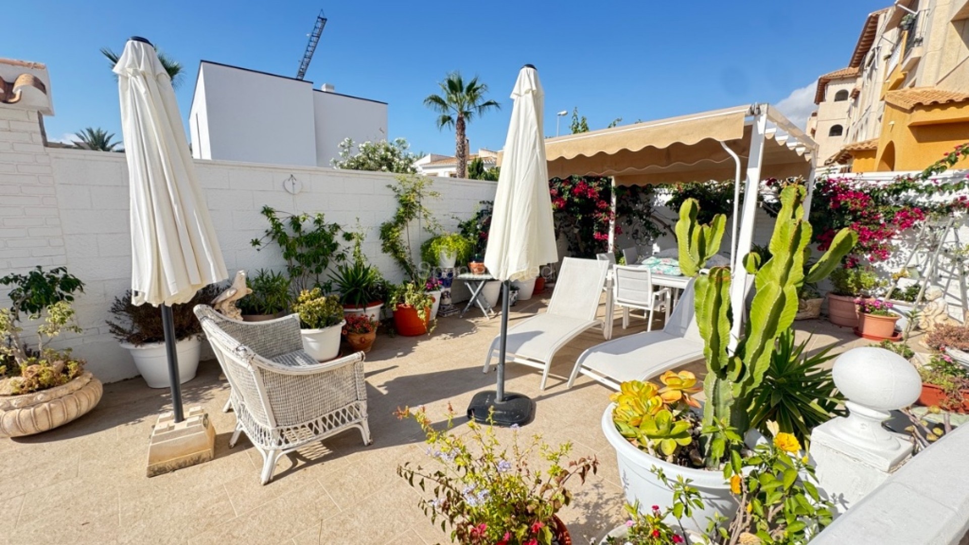 Bruktbolig - Villa -
La Zenia