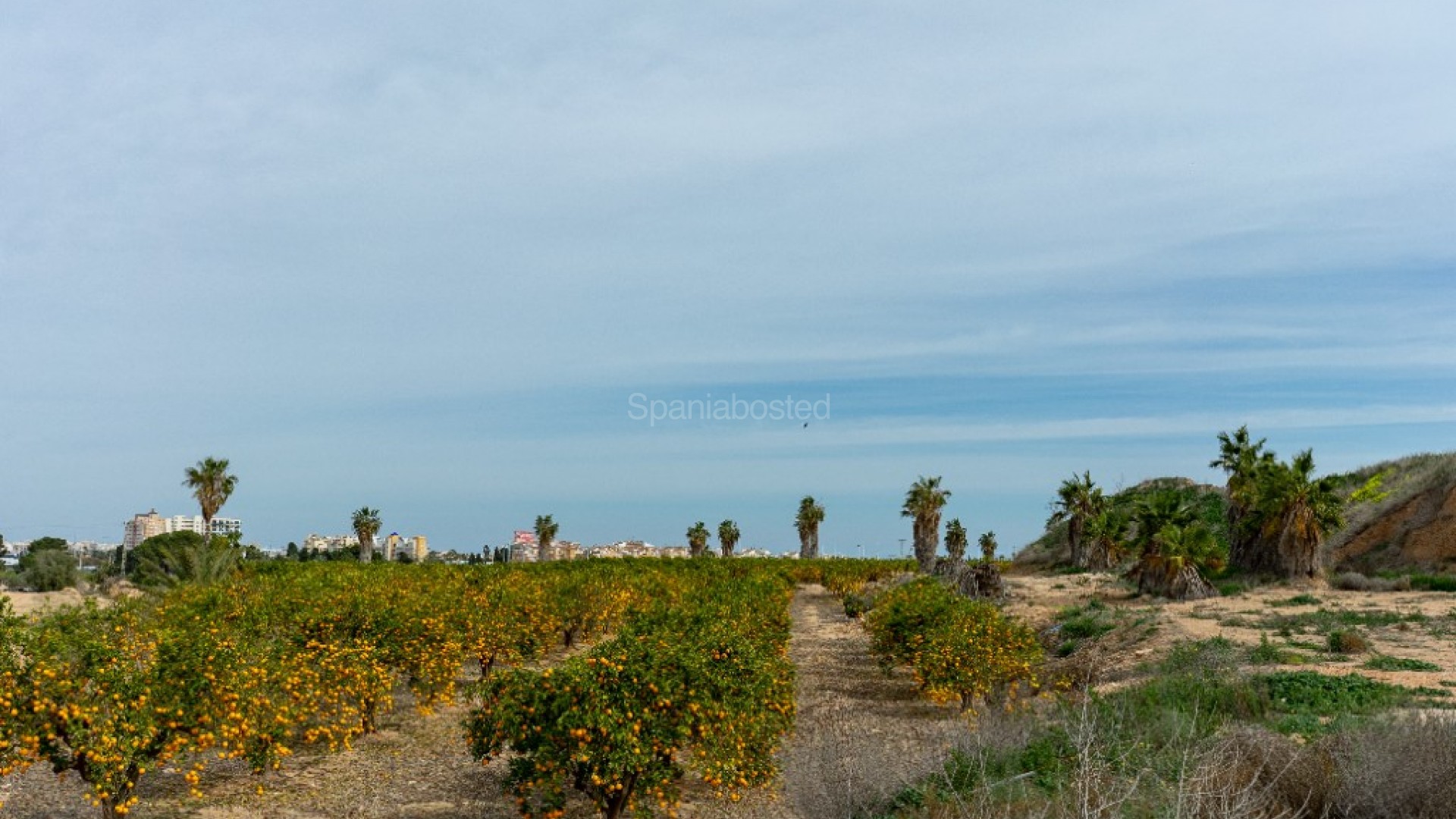 Bruktbolig - Villa -
Torrevieja - Los Altos