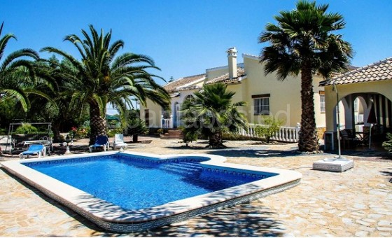 Finca Country Property - Resale - Daya Vieja - Daya Vieja