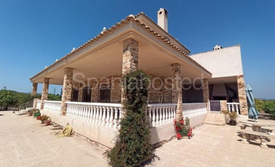 Finca Country Property - Resale - San Miguel de Salinas - San Miguel de Salinas
