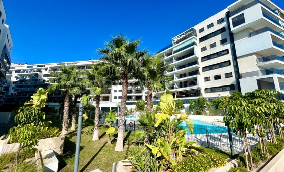 Leilighet - Bruktbolig - Dehesa de campoamor - Campoamor