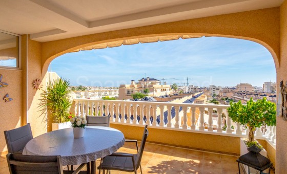 Leilighet - Bruktbolig - Orihuela Costa - SB753