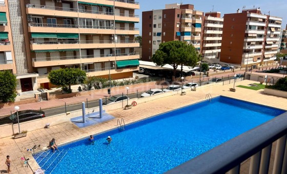Leilighet - Bruktbolig - Torrevieja - Punta prima