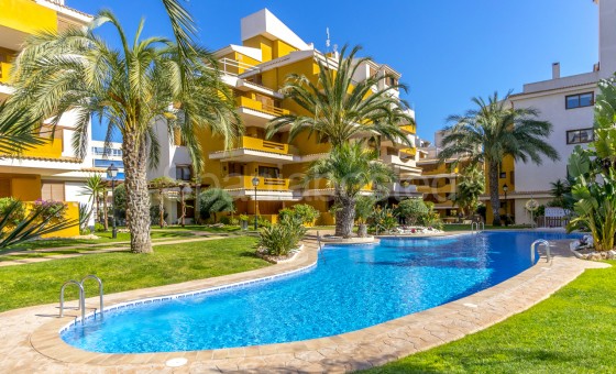 Leilighet - Bruktbolig - Torrevieja - Punta Prima
