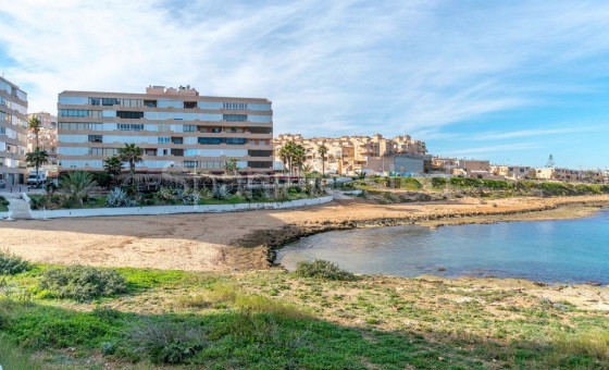 Leilighet - Bruktbolig - Torrevieja - Torrevieja