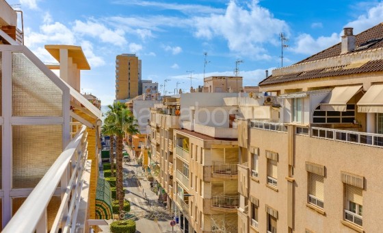 Leilighet - Bruktbolig - Torrevieja - Torrevieja
