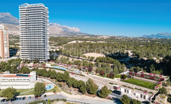 Leilighet - Nybygg - Benidorm - Benidorm