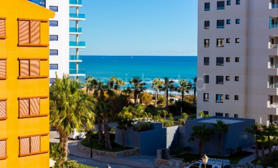 Leilighet - Short time rental - Punta Prima -
                Punta Prima