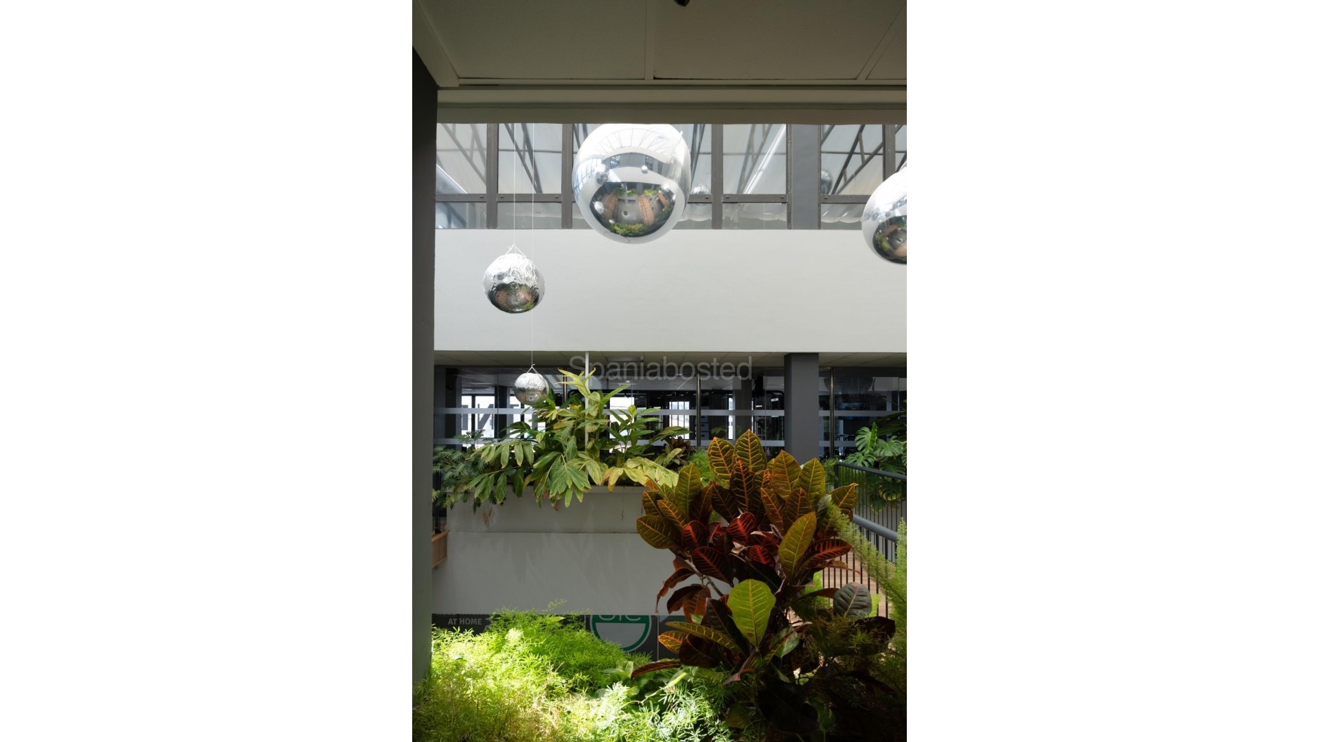 Long time Rental - Local comercial -
Orihuela Costa - Playa Flamenca