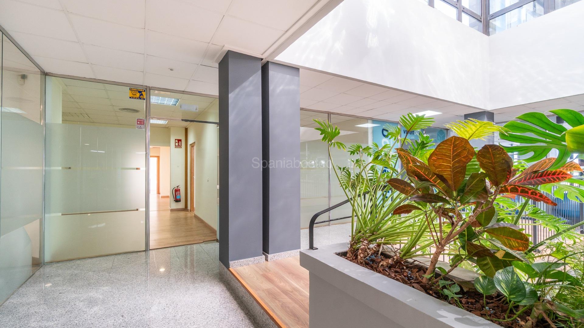 Long time Rental - Local comercial -
Orihuela Costa - Playa Flamenca