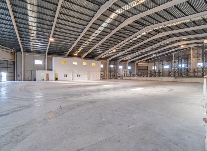 Long time Rental - Nave industrial -
Pilar de la Horadada - Polígono industrial Cañada de Práez