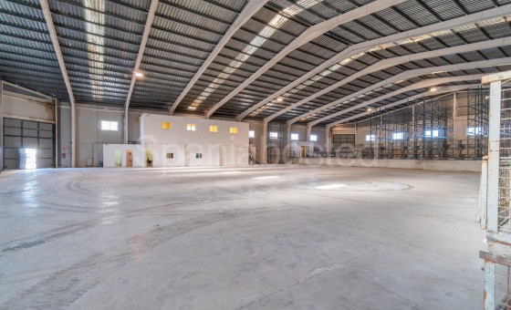 Nave industrial - Alquiler a largo plazo - Pilar de la Horadada -
                Polígono industrial Cañada de Práez