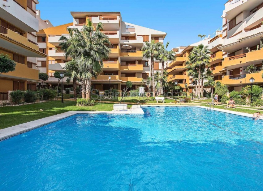 New Build - Apartment -
Alicante - Punta Prima