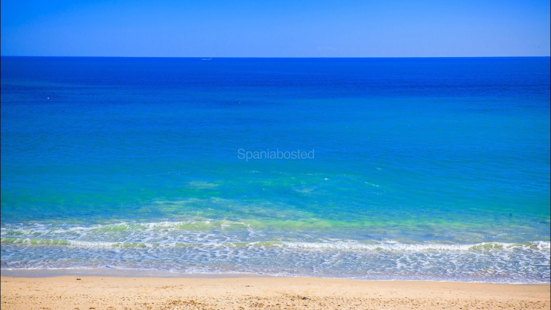 New Build - Apartment -
Benidorm