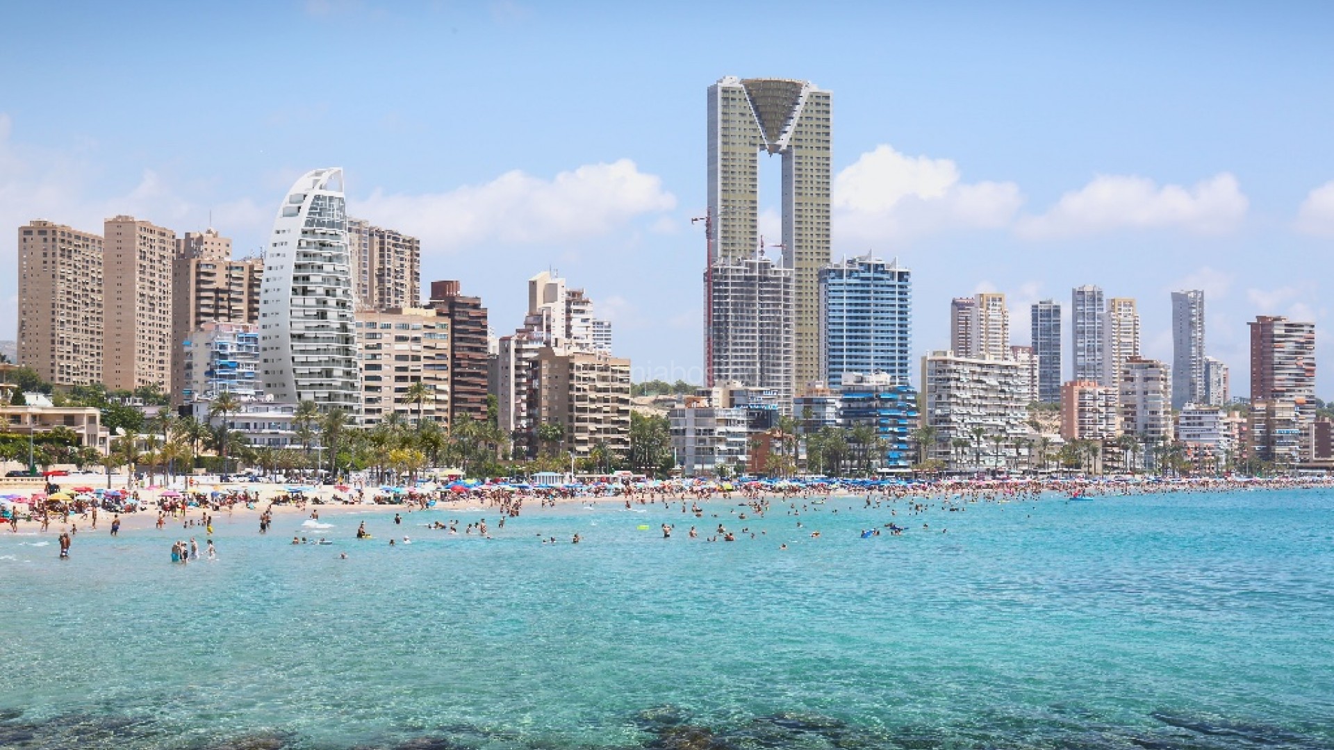 New Build - Apartment -
Benidorm