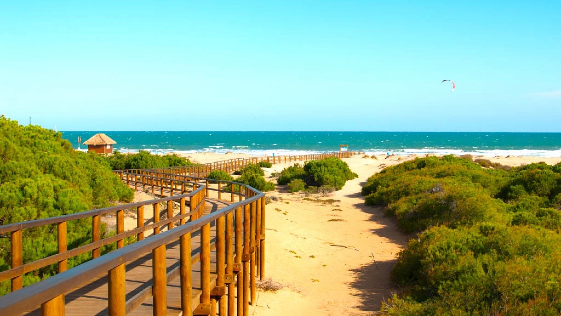 New Build - Apartment -
Guardamar del Segura