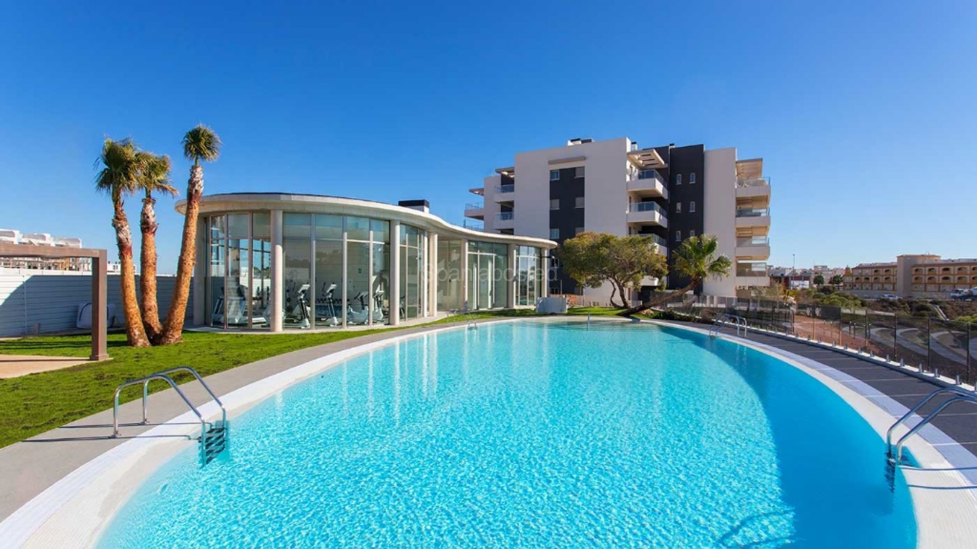 New Build - Apartment -
La Zenia