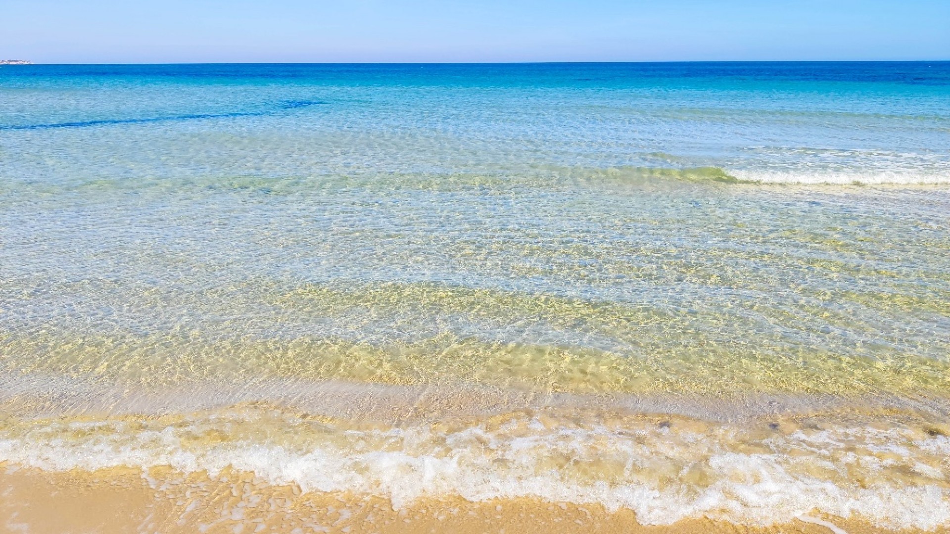 New Build - Apartment -
Pilar de la Horadada - Torre de la Horadada