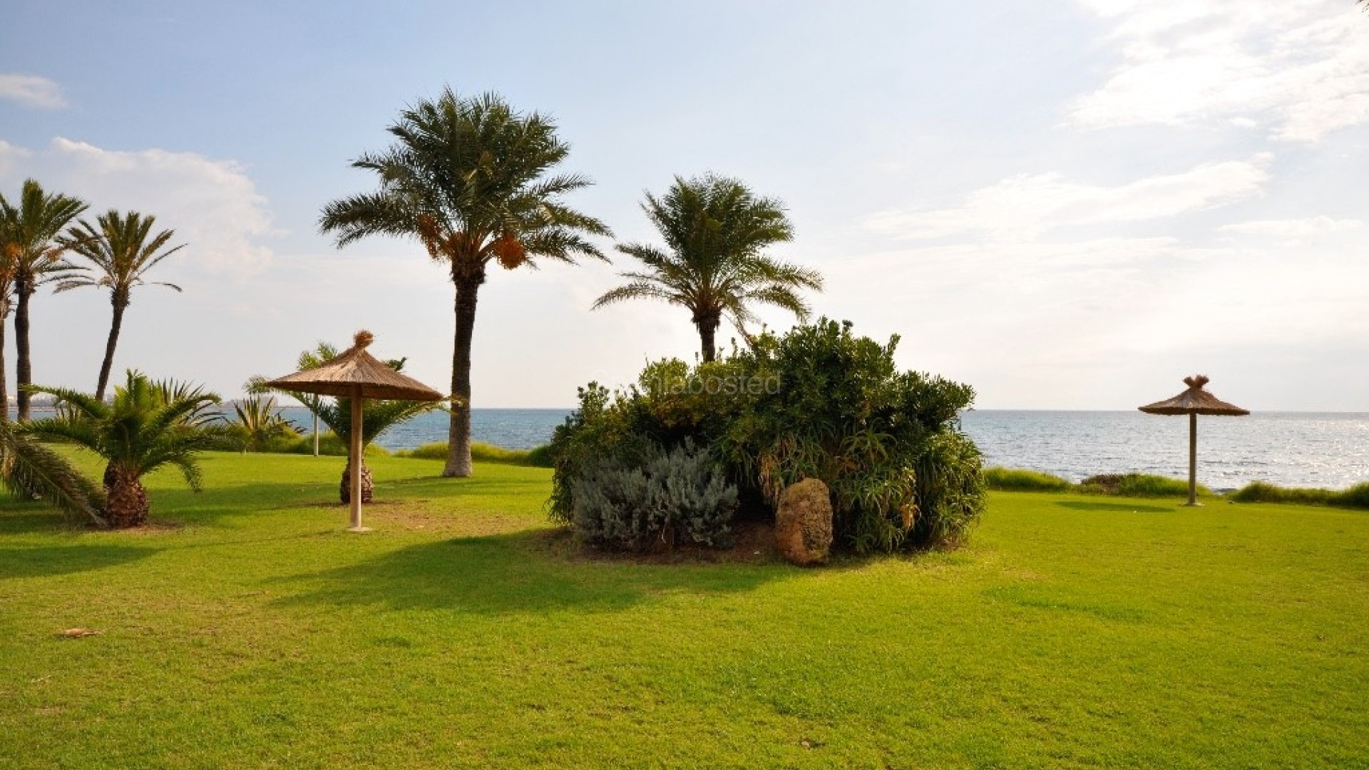 New Build - Apartment -
Torrevieja