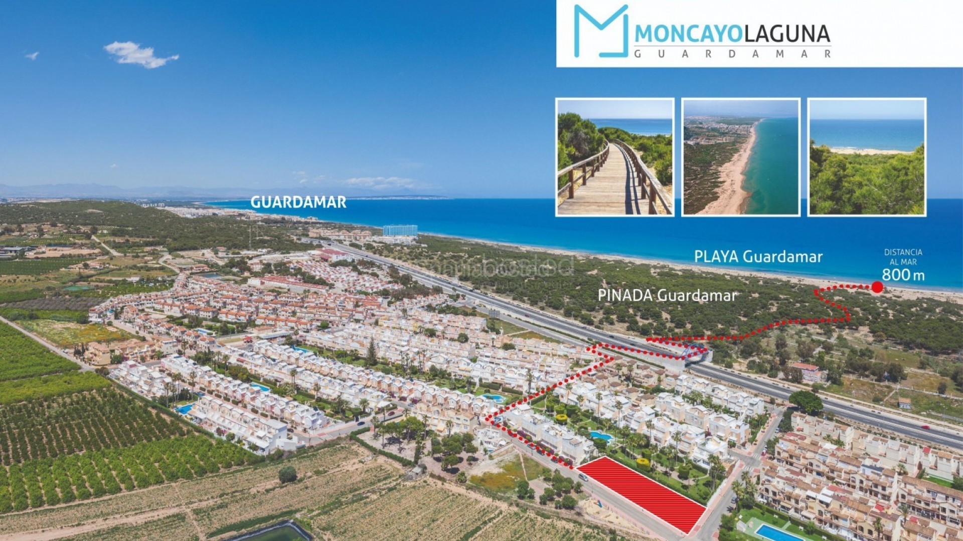 New Build - Villa -
Alicante - Guardamar del Segura