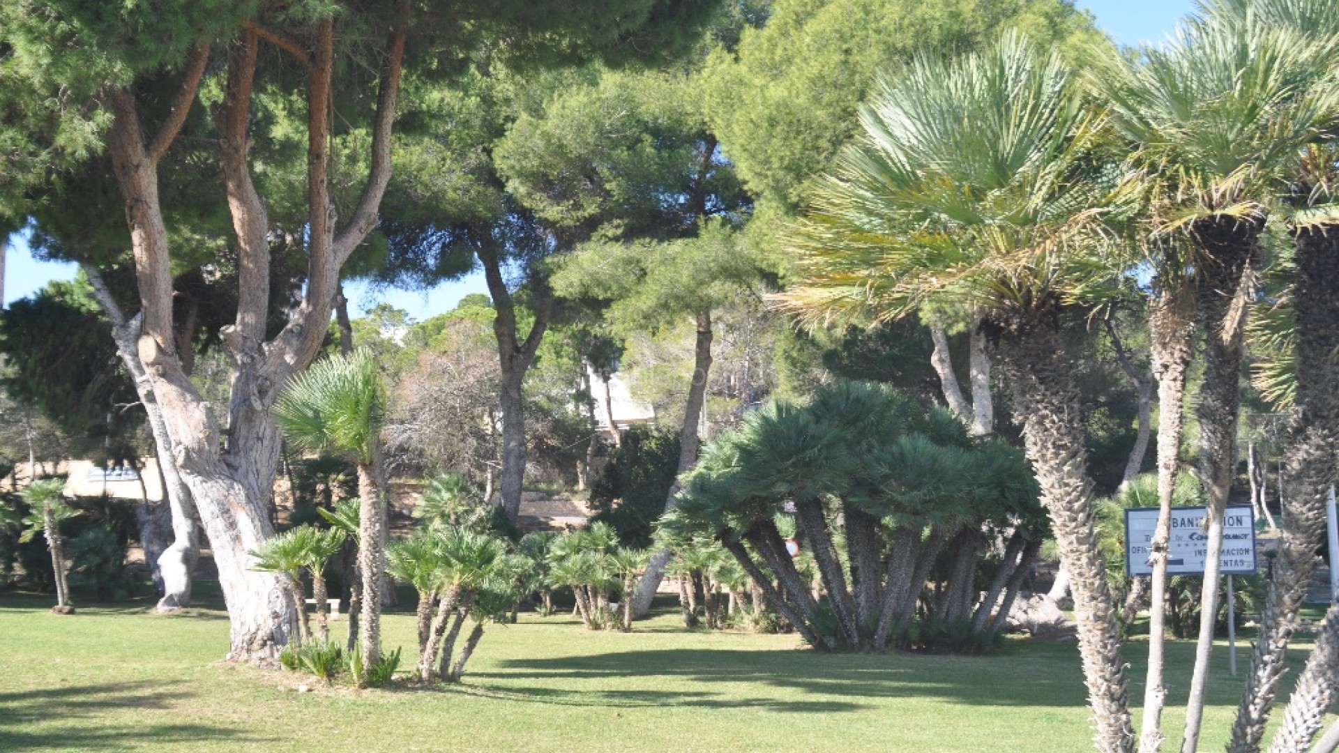 New Build - Villa -
Dehesa de Campoamor - Campoamor