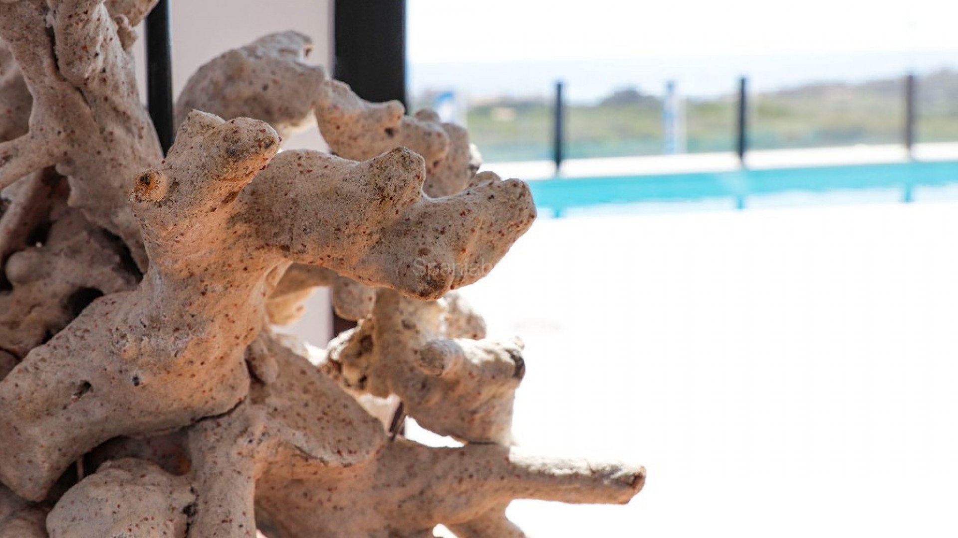 New Build - Villa -
Guardamar del Segura