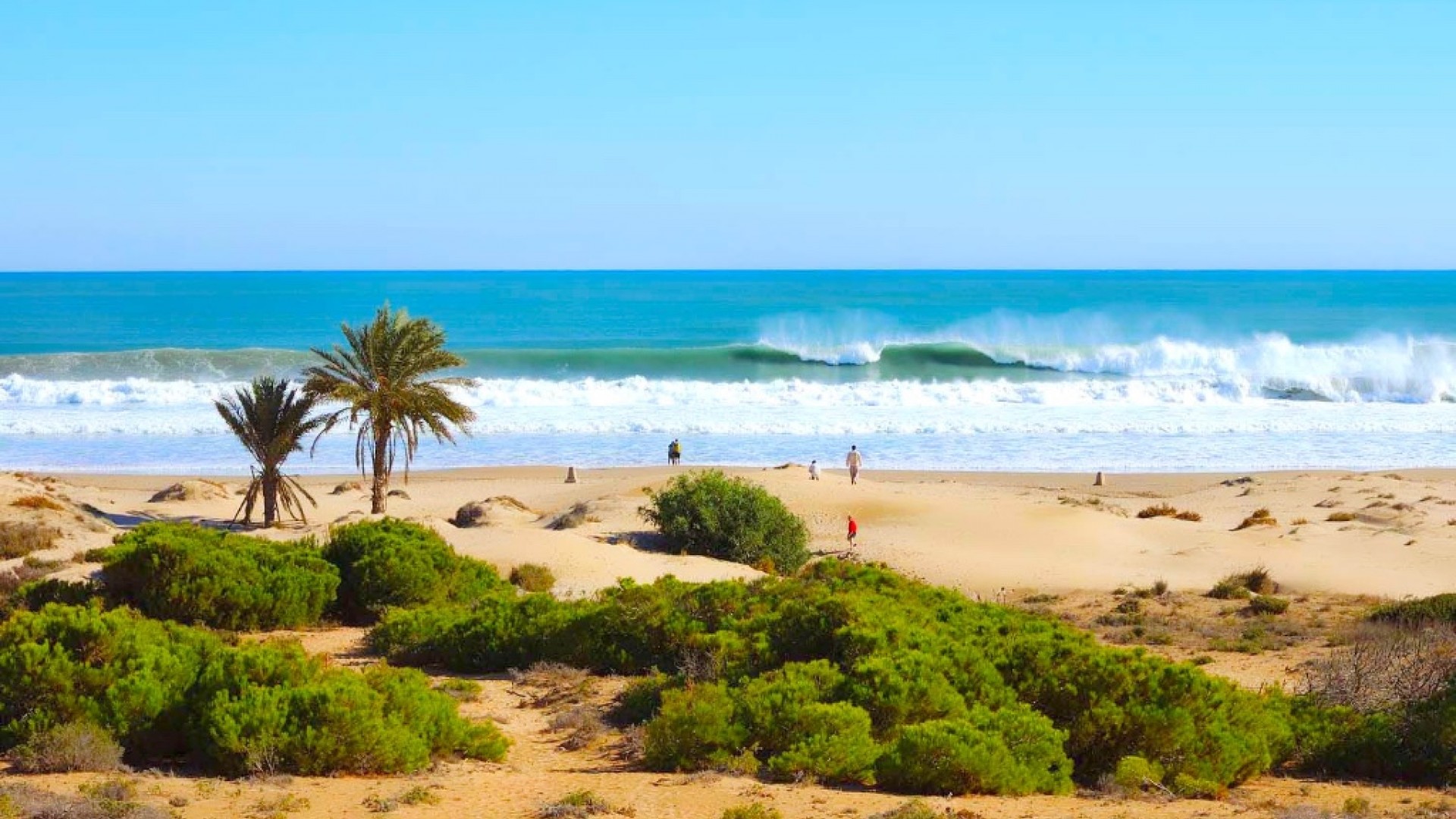 New Build - Villa -
Guardamar del Segura