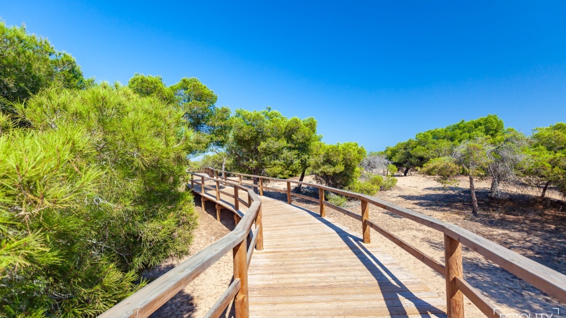 New Build - Villa -
Guardamar del Segura