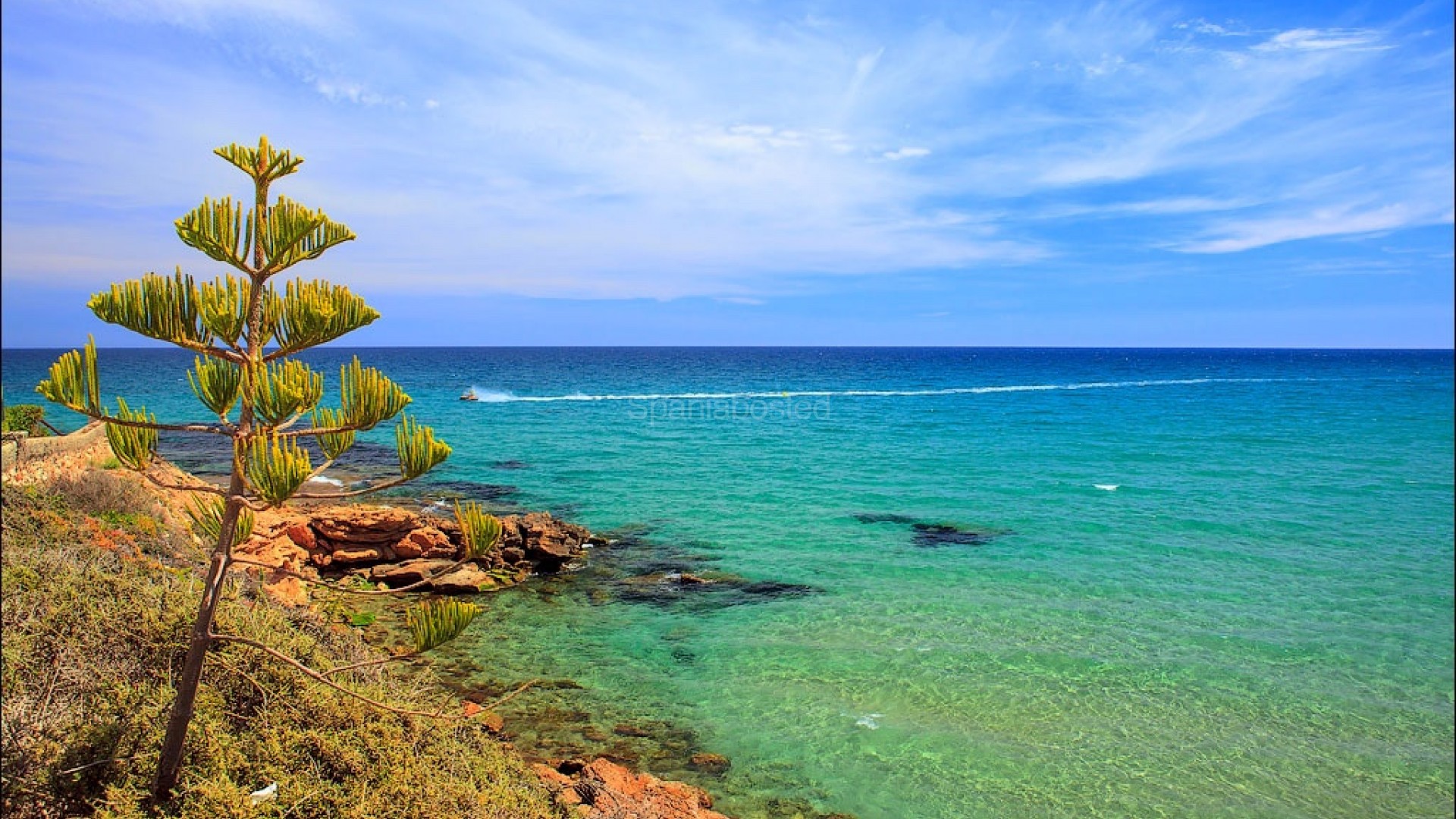 New Build - Villa -
Los Altos