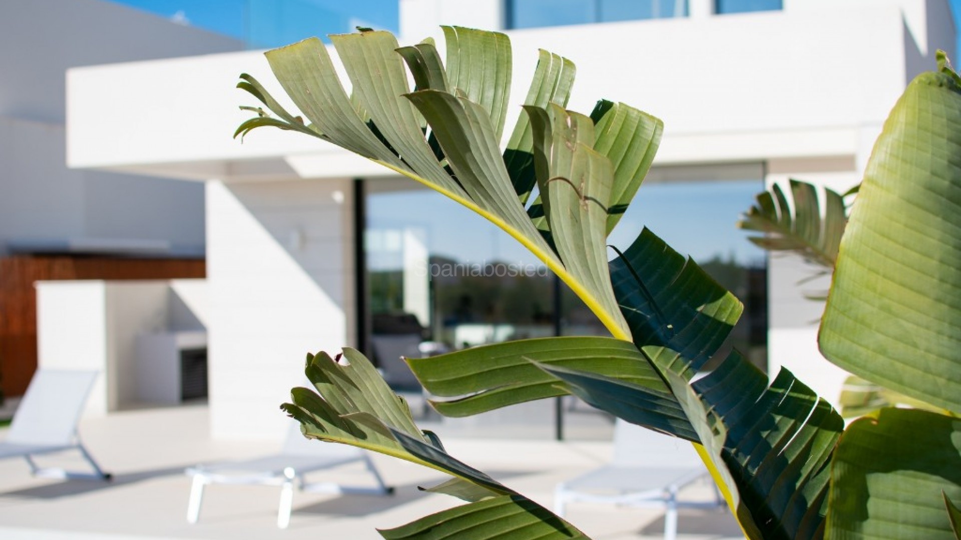 New Build - Villa -
Los Montesinos - La Herada