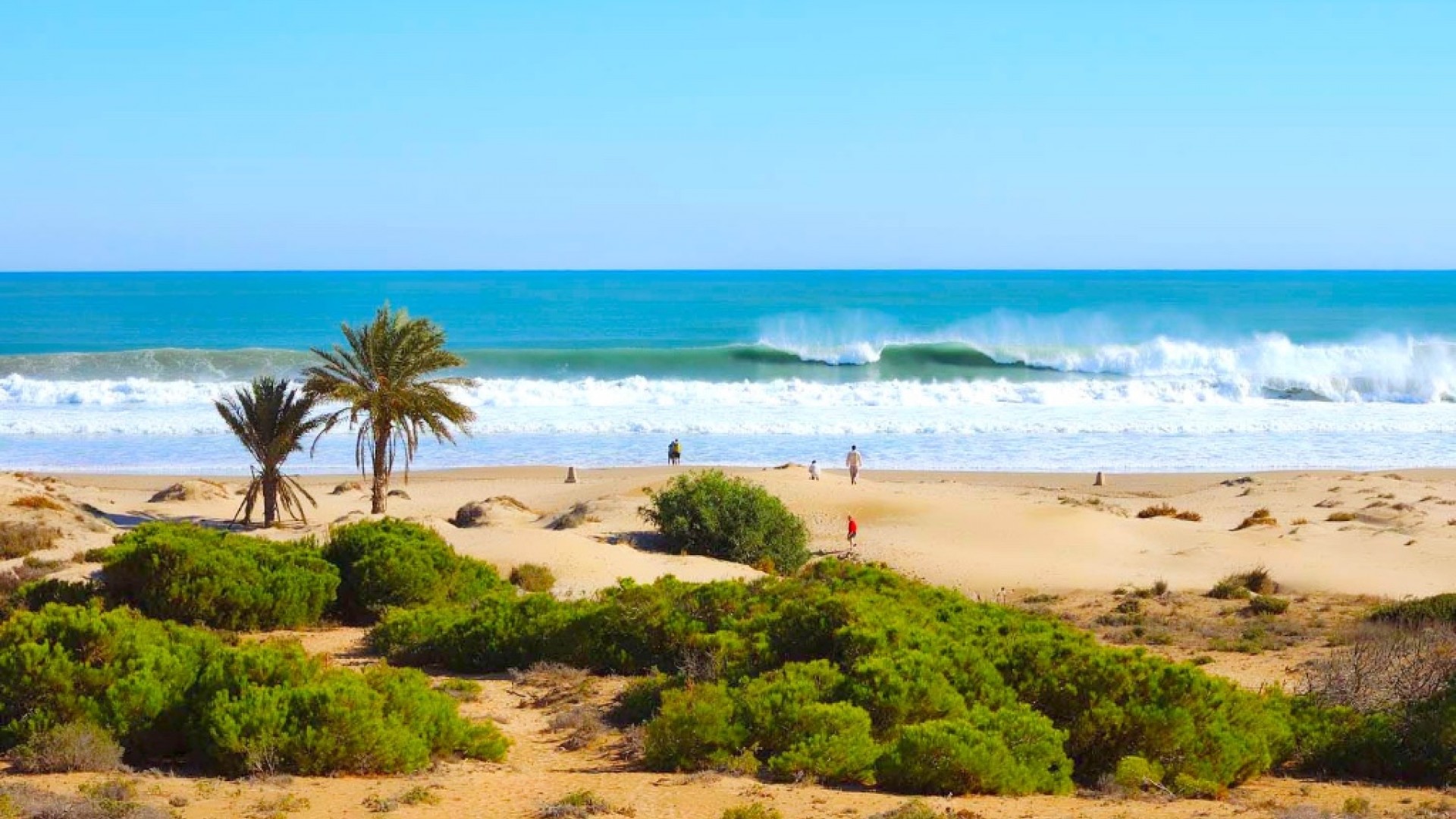 Nueva construcción  - Apartamento -
Guardamar del Segura