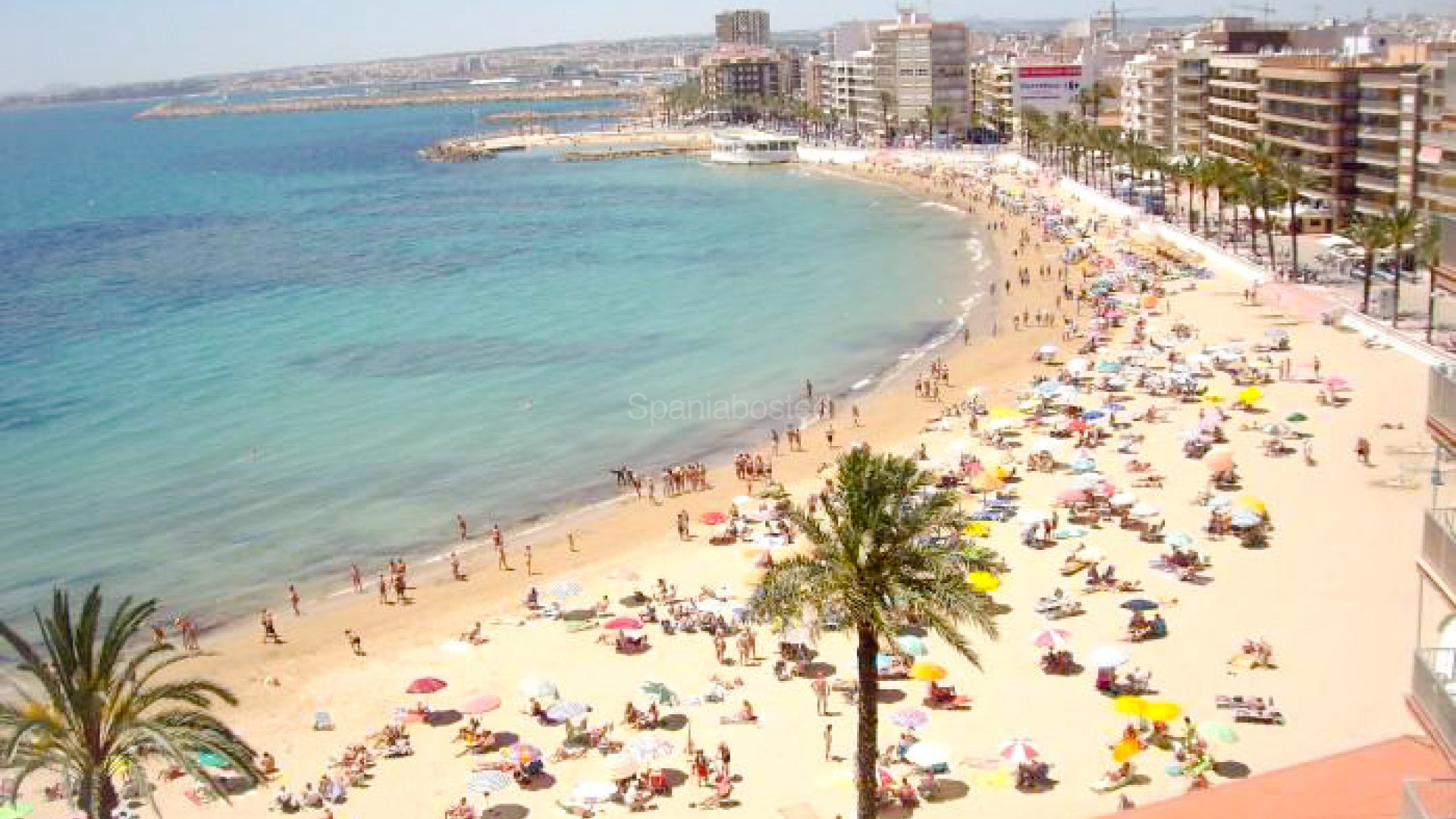 Nueva construcción  - Apartamento -
Torrevieja