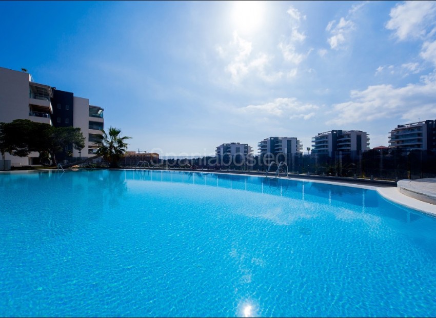 Nueva construcción  - Apartamento -
Villamartín - Villamartin