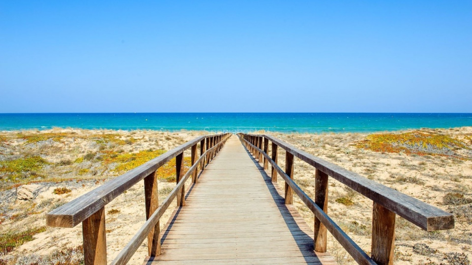 Nueva construcción  -  -
La Marina