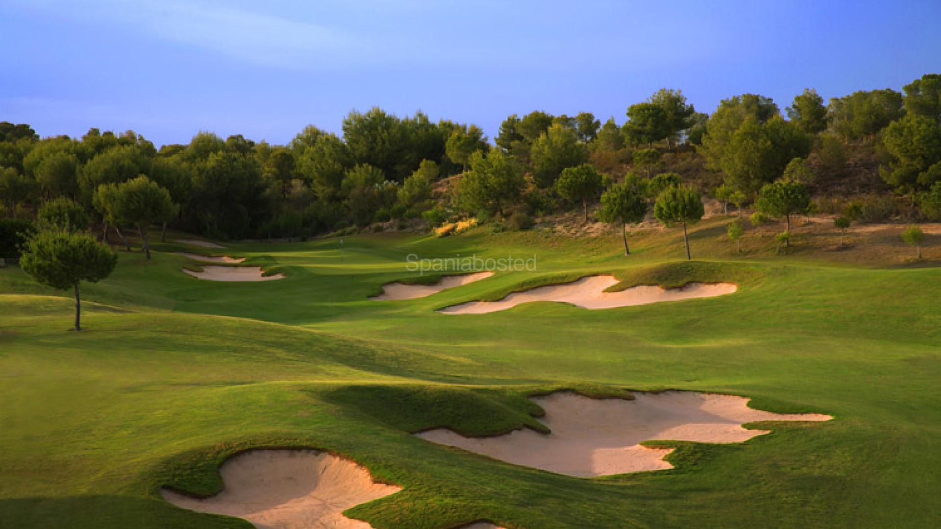 Nueva construcción  - Villa -
Las Colinas - Las Colinas Golf