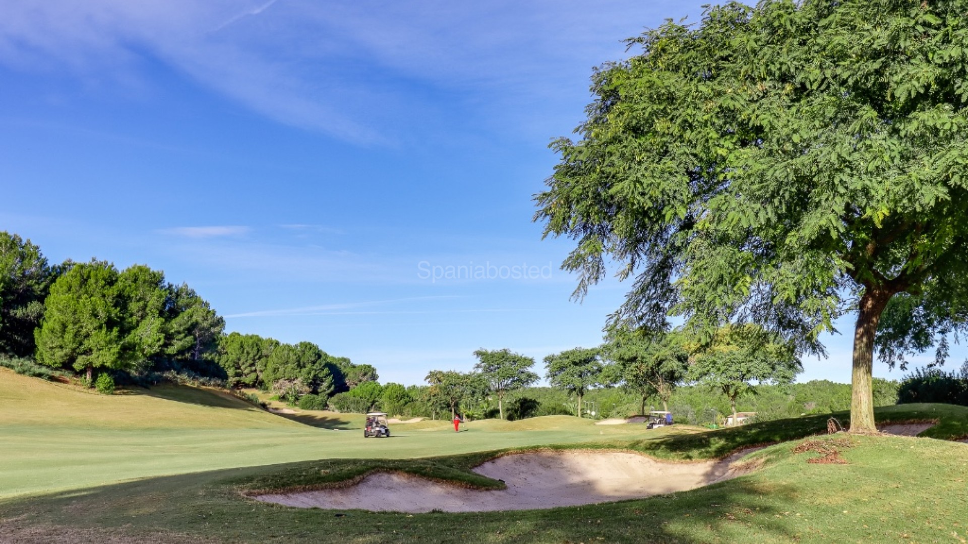 Nueva construcción  - Villa -
Las Colinas - Las Colinas Golf