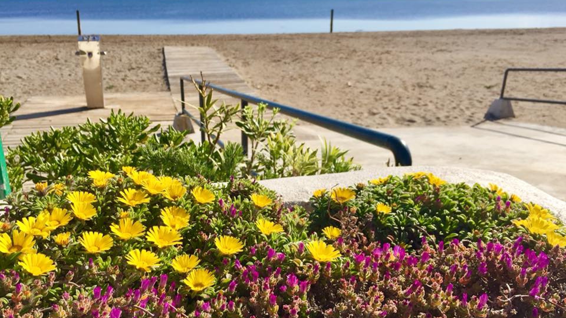 Nueva construcción  - Villa -
Murcia