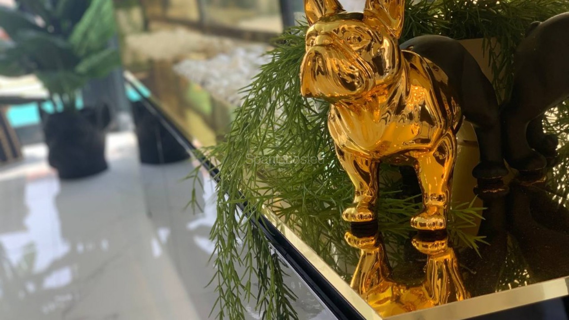 Nueva construcción  - Villa -
Torrevieja