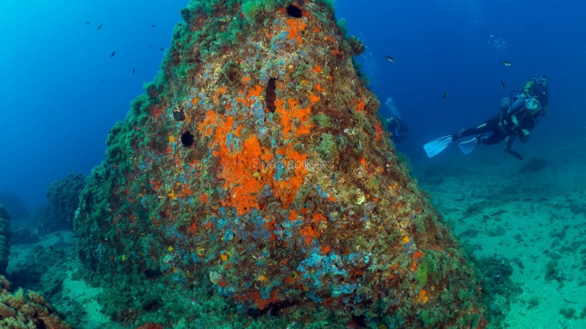 Nybygg - Leilighet -
Aguilas - Isla Del Fraile