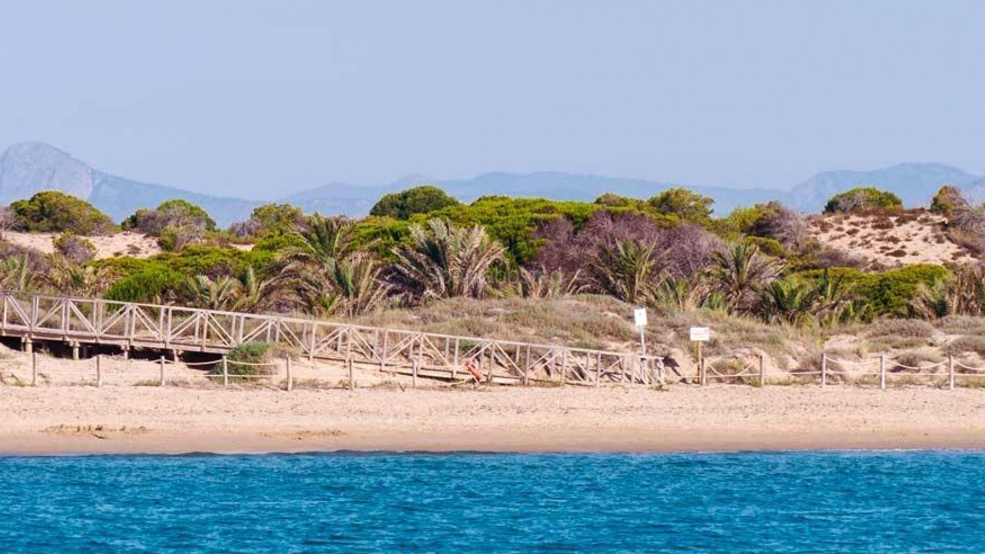 Nybygg - Leilighet -
Guardamar del Segura