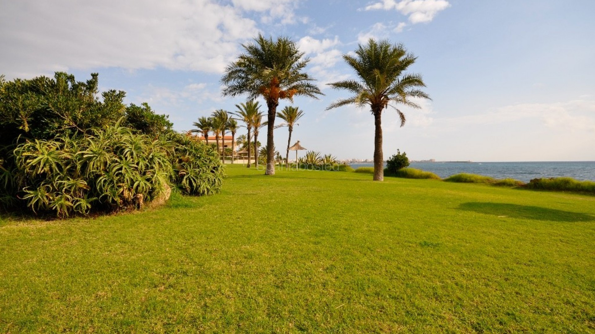 Nybygg - Leilighet -
Torrevieja