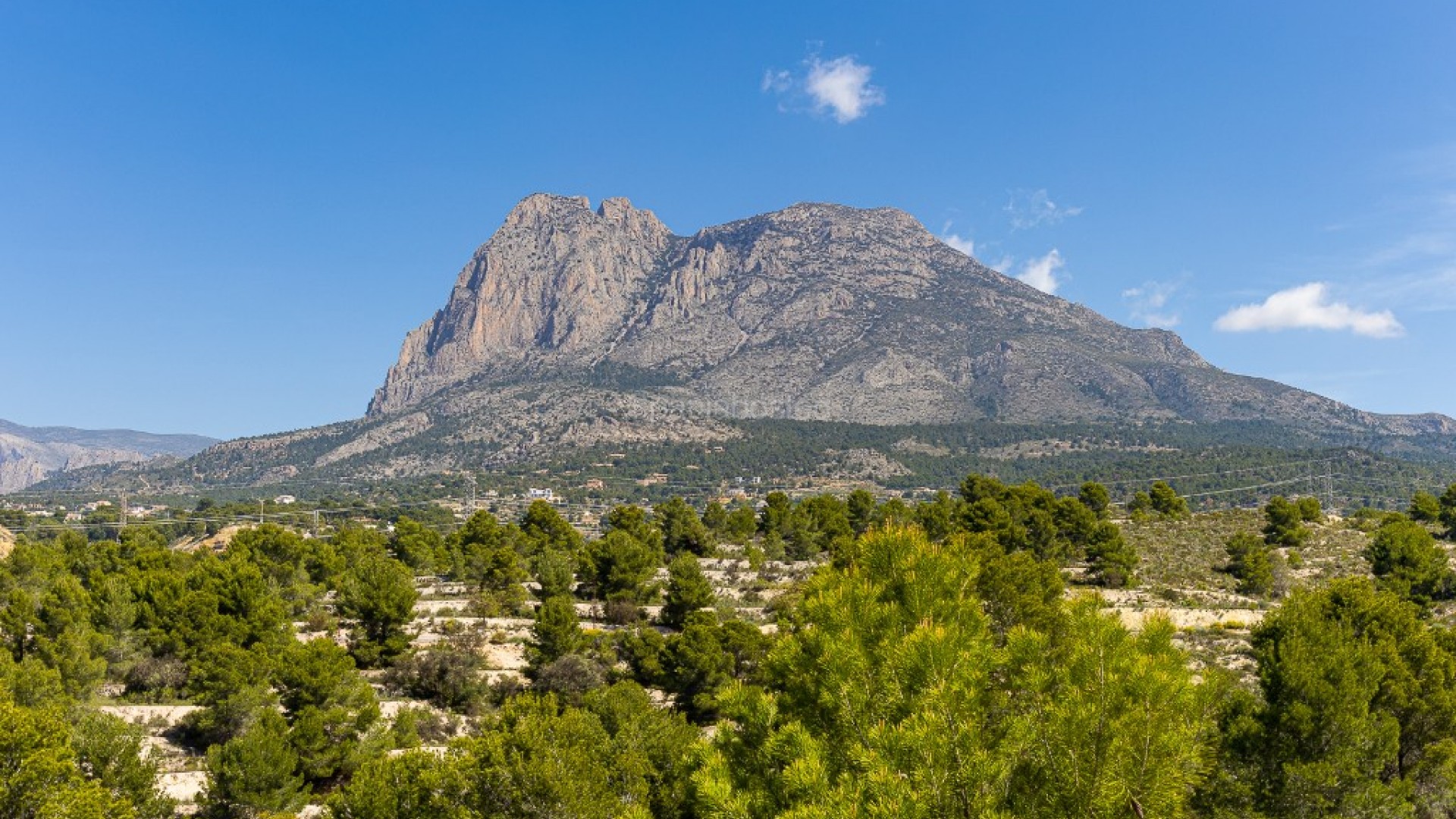 Nybygg - Villa -
Benidorm