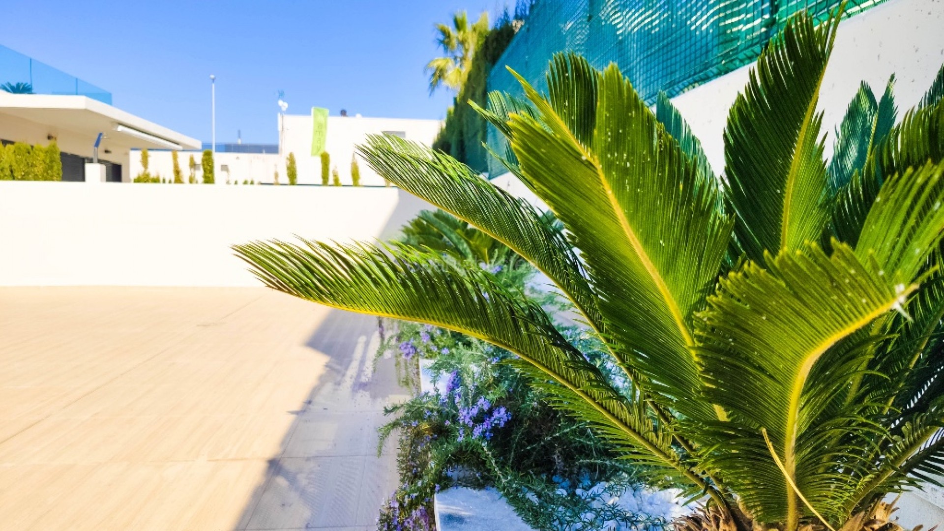 Nybygg - Villa -
Dehesa de Campoamor - Campoamor