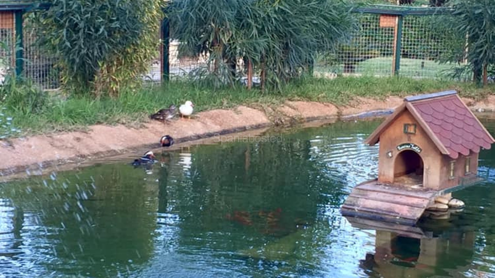 Nybygg - Villa -
Murcia