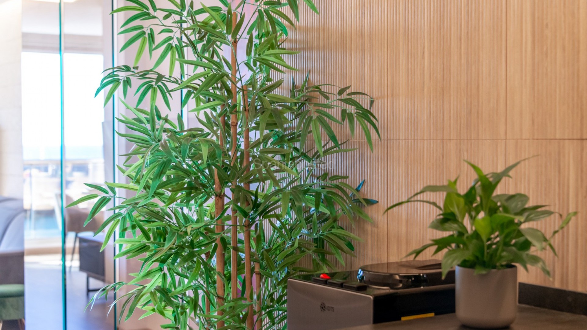 Resale - Apartment -
Altea