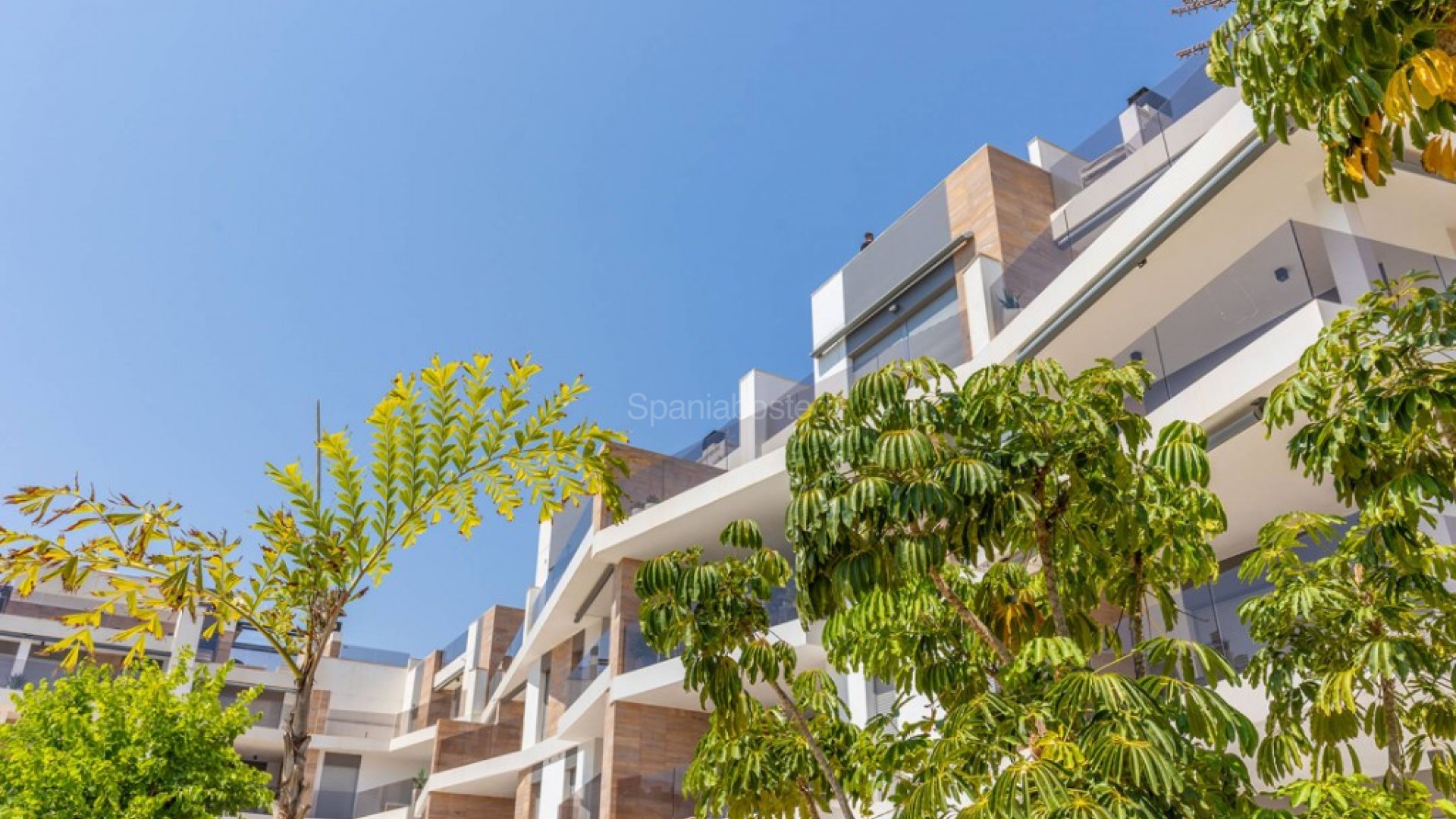 Resale - Apartment -
Cabo Roig