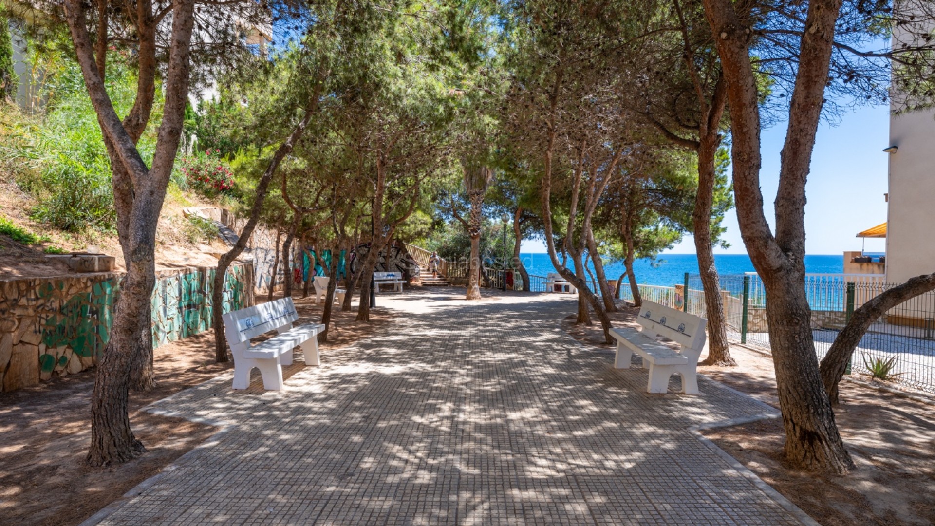 Resale - Apartment -
Cabo Roig